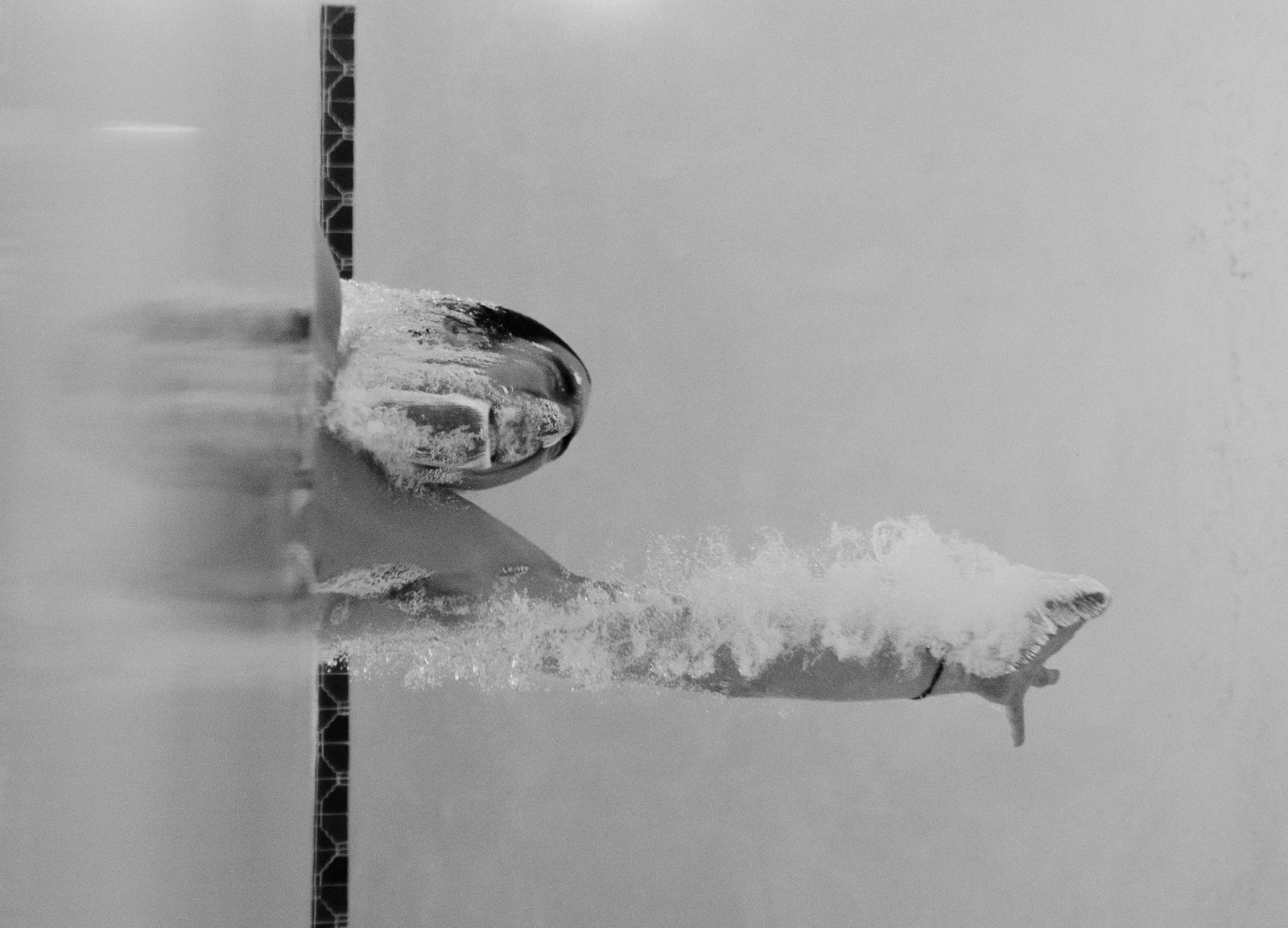 Monochrome photo of a swimmer diving underwater, showcasing motion and strength.